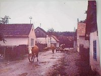 Petrinja, Ciganjsko selo (Vinogradska ulica)m 1950.-1960